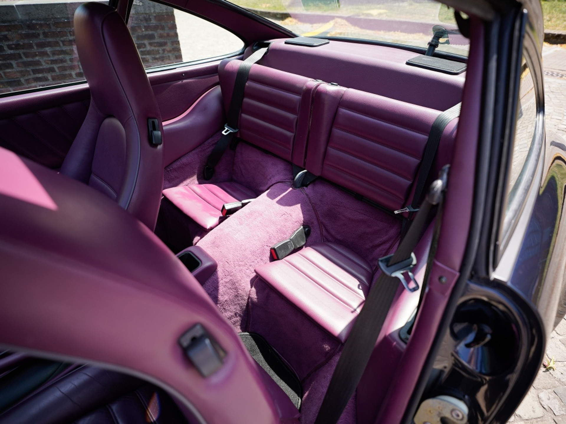 43511168-17.jpg