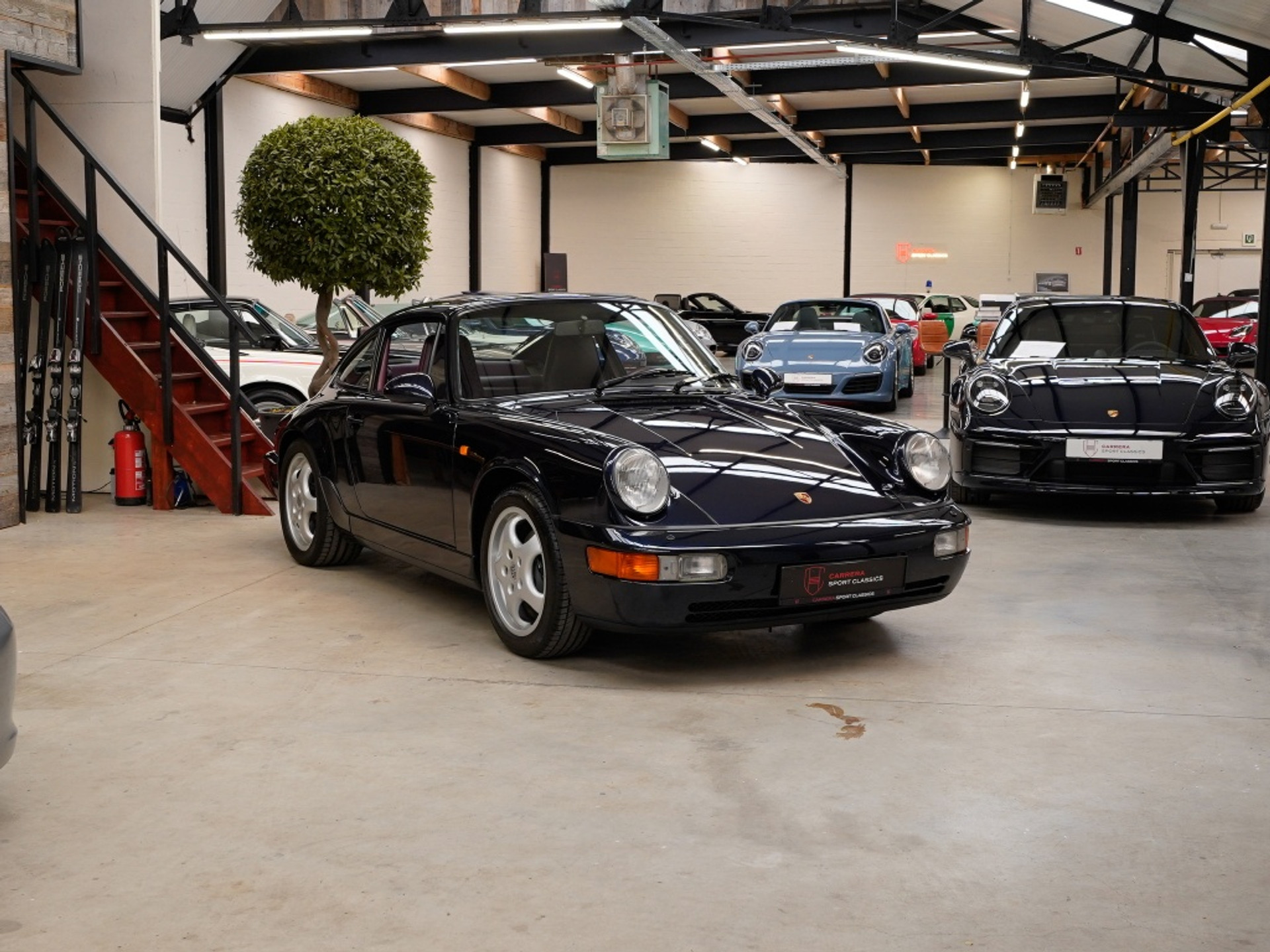 43511168-37.jpg
