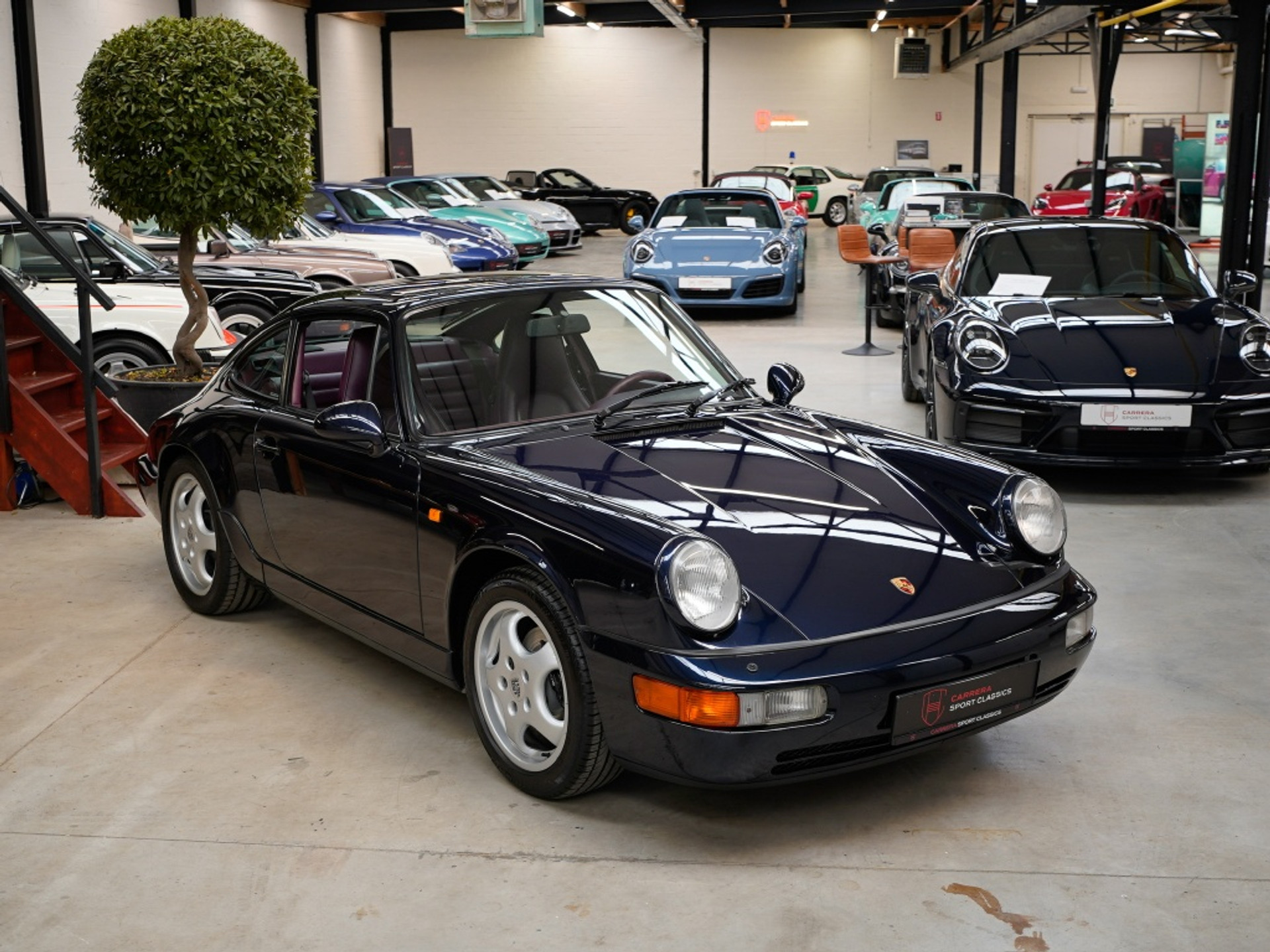 43511168-38.jpg