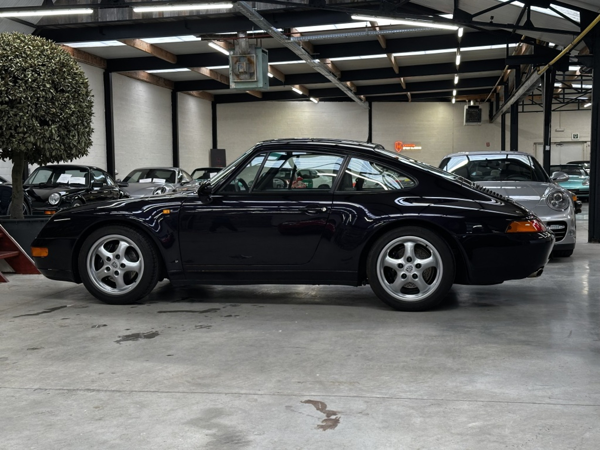 44499637-2.jpg