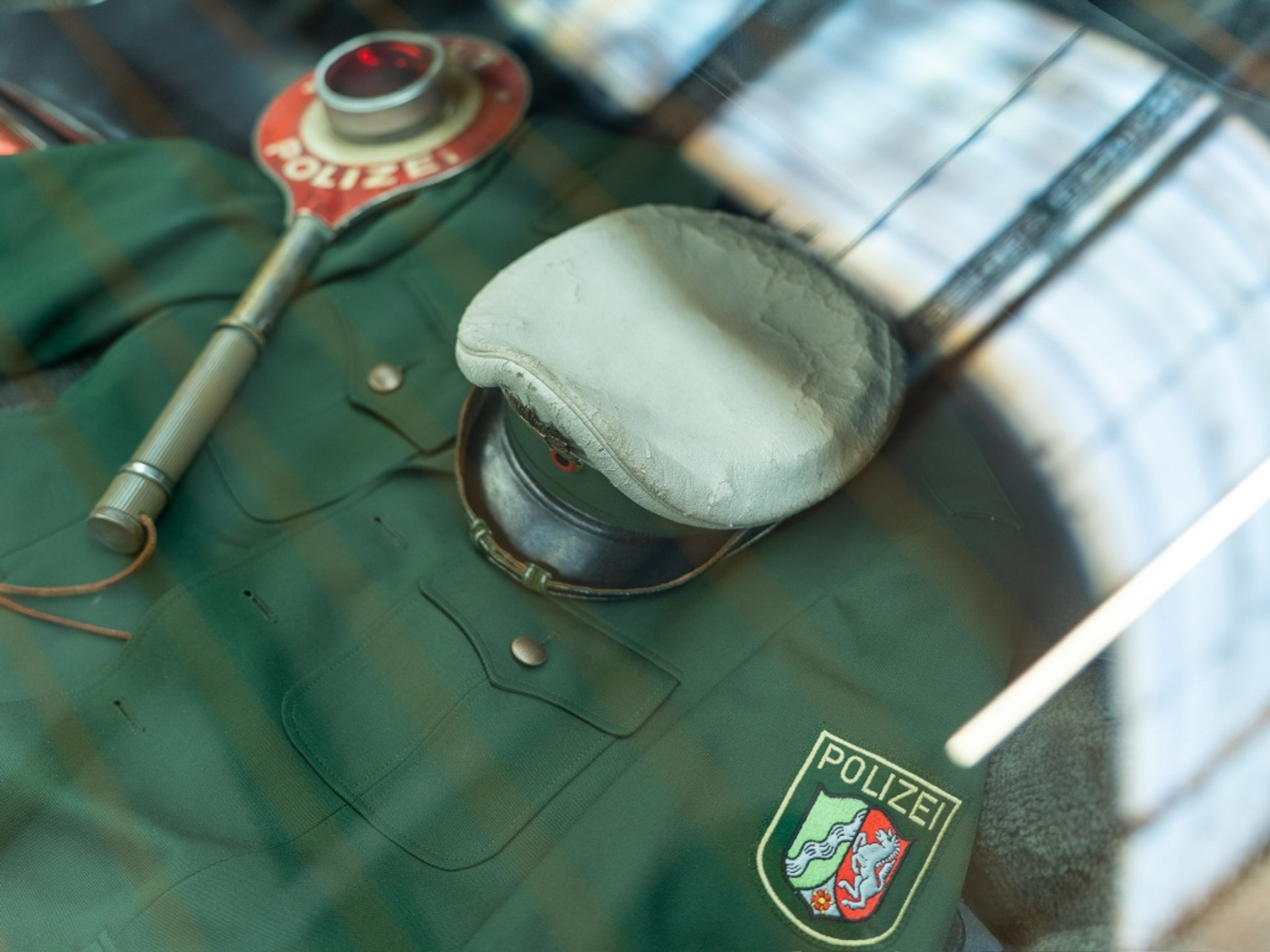 44519337-13.jpg