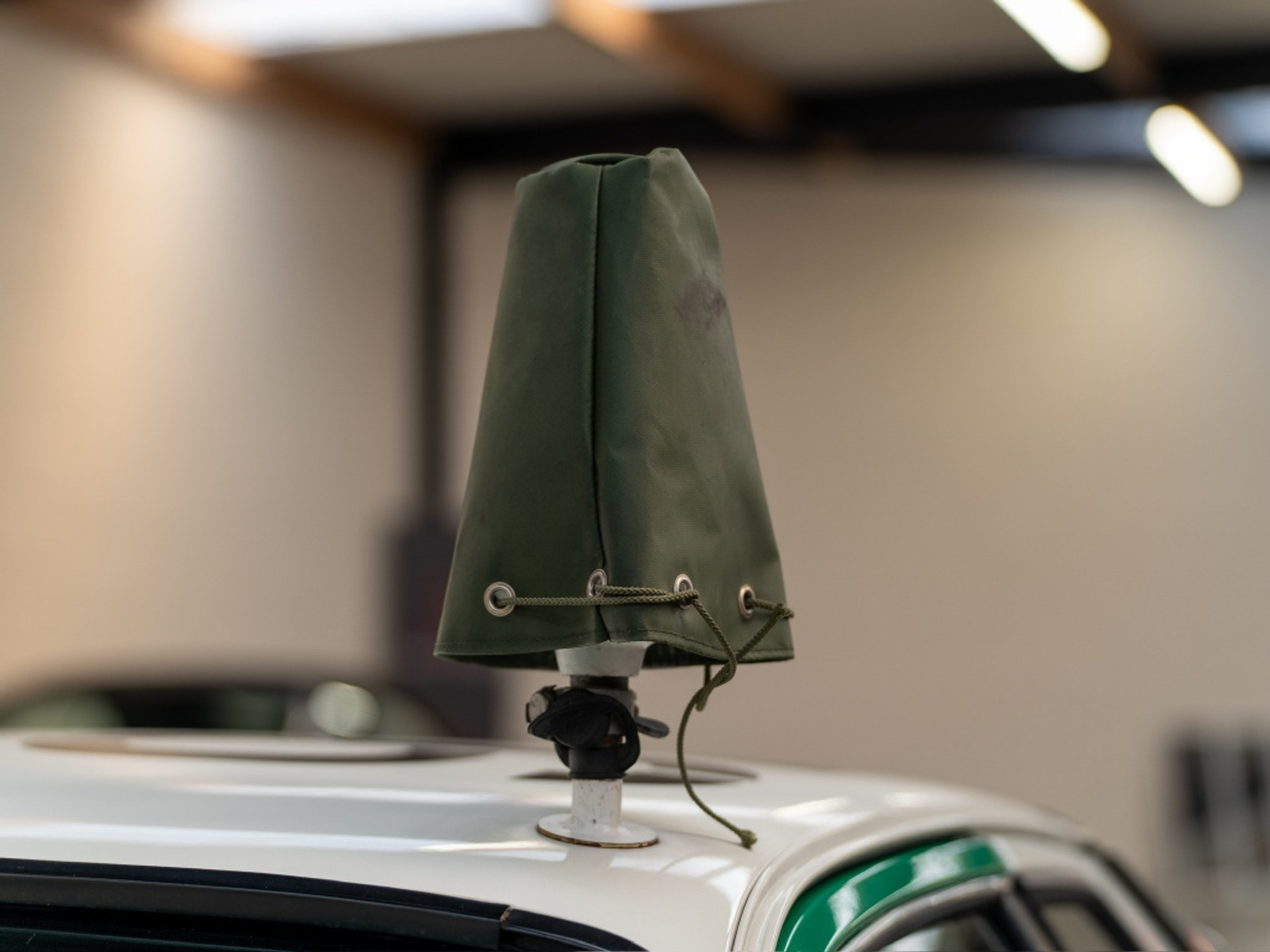 44519337-17.jpg